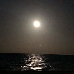 Meet your Posher, Laurent